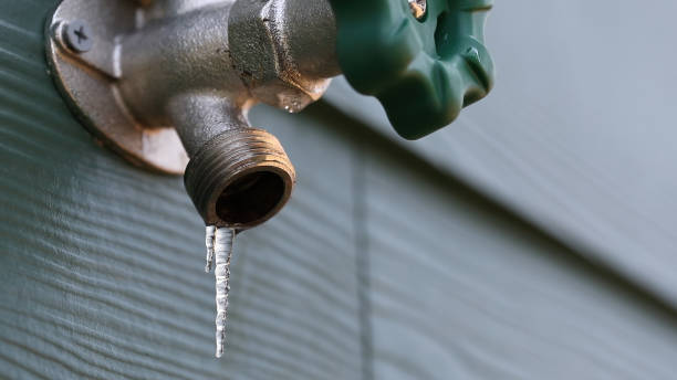 Best Residential Plumbing Services  in Vonore, TN